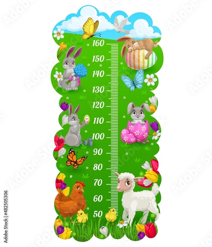 Kids height chart with cartoon Easter bunny and eggs, vector growth meter background. Kids height chart or baby measure scale with Easter eggs and bunny on green grass and spring flowers