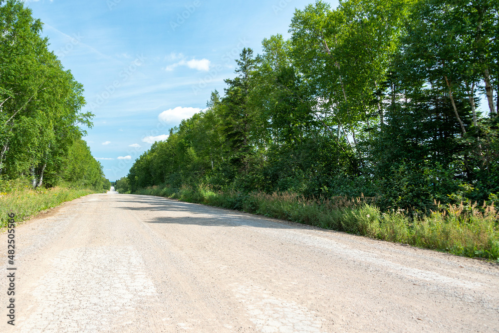 A long and straight gravel road that runs into a forest of trees. The tall luscious trees are in full bloom. The trees have lots of green leaves. The road has tire truck patterns in the gravel dirt. A long and straight gravel road that runs into a forest of trees. The tall luscious trees are in full bloom. The trees have lots of green leaves. The road has tire truck patterns in the gravel dirt.