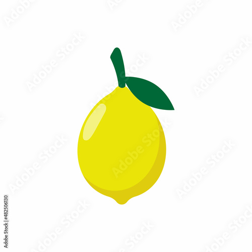 lemon icon design template illustration vector