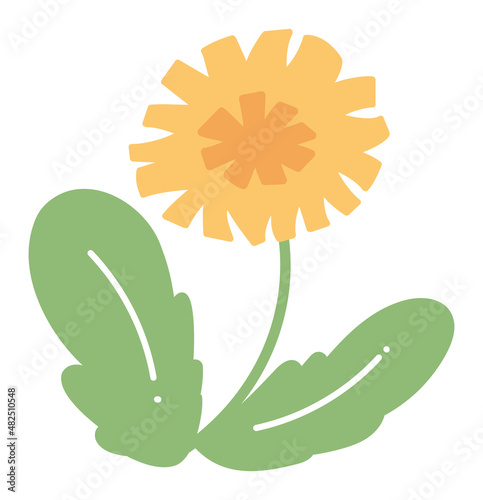 春　たんぽぽ　タンポポ　手描き　花　イラスト　挿絵　野花　植物　自然　葉っぱ　葉　挿絵　一輪　雑草