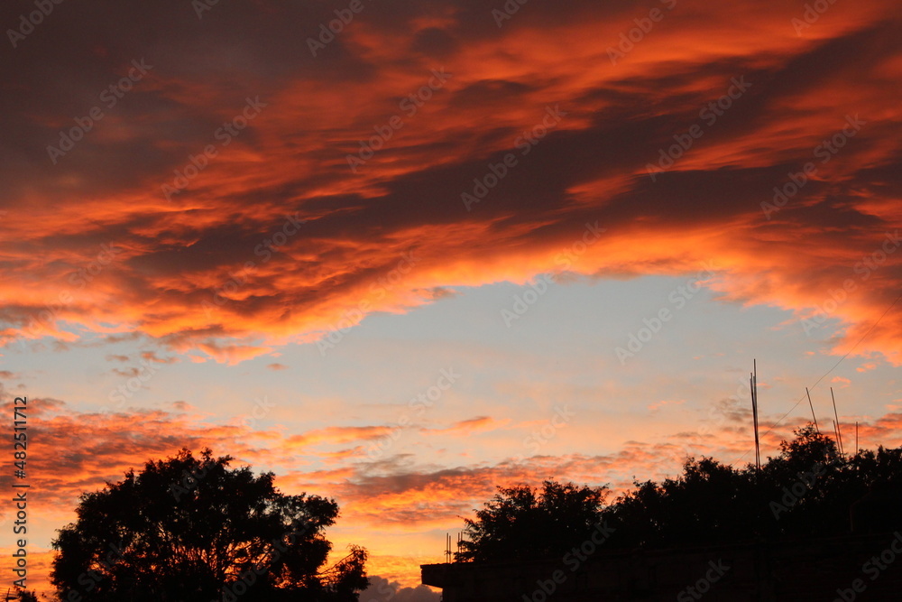 Obraz premium Hermoso atardecer con silueta de árbol bajo de él.