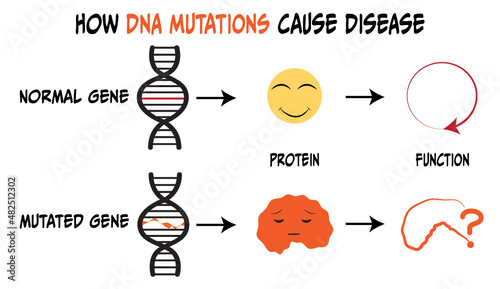 DNA mutations that cause disease and disruption of protein production photo
