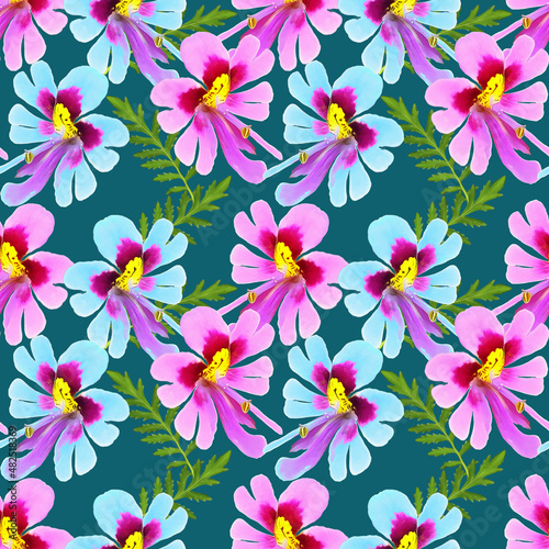 Schizanthus. Illustration  texture of flowers. Seamless pattern for continuous replication. Floral background  photo collage for textile  cotton fabric. For wallpaper  covers  print.