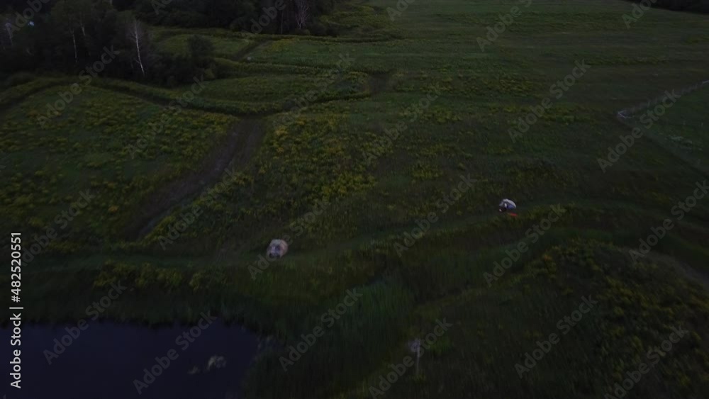 A drone shot of a permaculture swale and pond on an organic farm. A drone shot of a permaculture swale and pond on an organic farm.