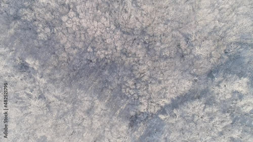 Aerial view of winter forest covered with snow, 4k Aerial view of winter forest covered with snow, 4k