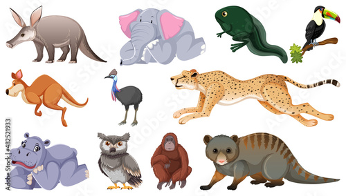 Set of different wild animals cartoon characters photo