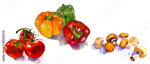 Collection of vegetables, isolated elements on white background; for printing on textiles, home decor art. Watercolor set of illustrations-vegetables, pepper, tomatoes, mushrooms. Seasonal vegetables.