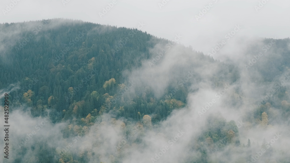 Clouds movement rapidly in spruce forest in mountains during heavy rain. Picturesque autumn landscape of fresh nature. Birth of clouds in green mountains. Self-cleaning ecology, environment. No people