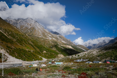 Canvas Print swiss mountains landscape Bjojbasa ,Gangotri the origin of Ganges