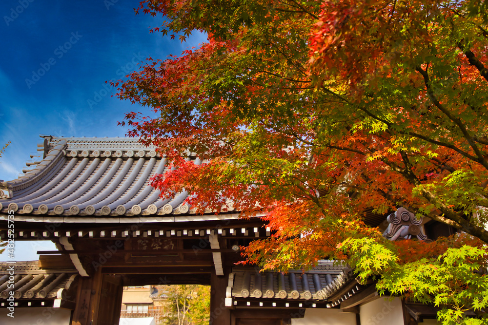 kyoto 禅林寺