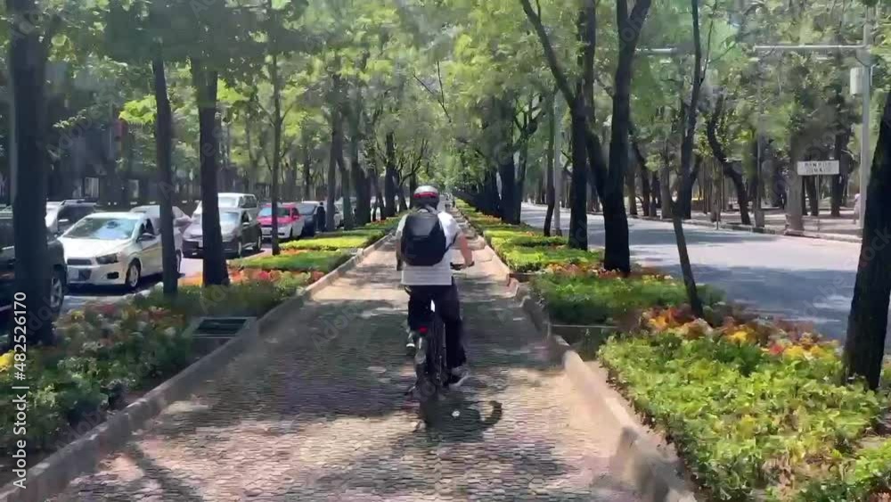 Timelapse at Paseo de la Reforma Timelapse at Paseo de la Reforma
