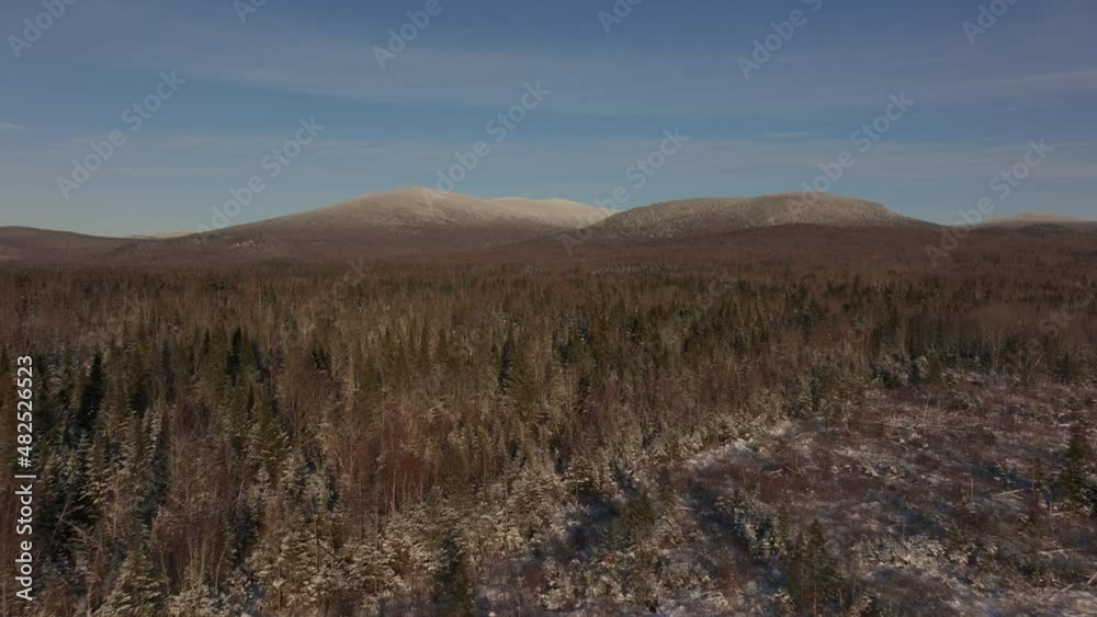 Dense Evergreen Spruce With Hills At The Background During Winter In Southern Quebec, Canada. Aerial Drone Dense Evergreen Spruce With Hills At The Background During Winter In Southern Quebec, Canada. Aerial Drone