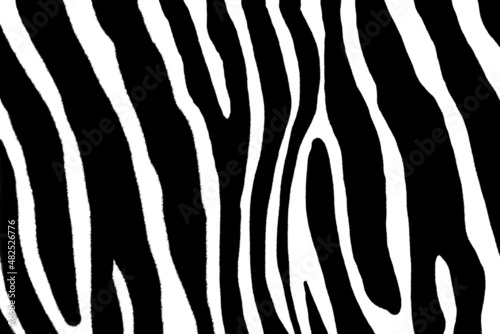 Pattern with zebra print. Black white background.