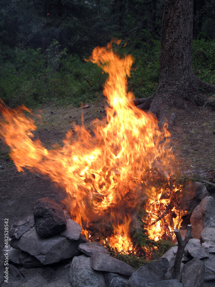 Orange flame of campfire.Siberia. Altay region, Russia Orange flame of campfire.Siberia. Altay region, Russia