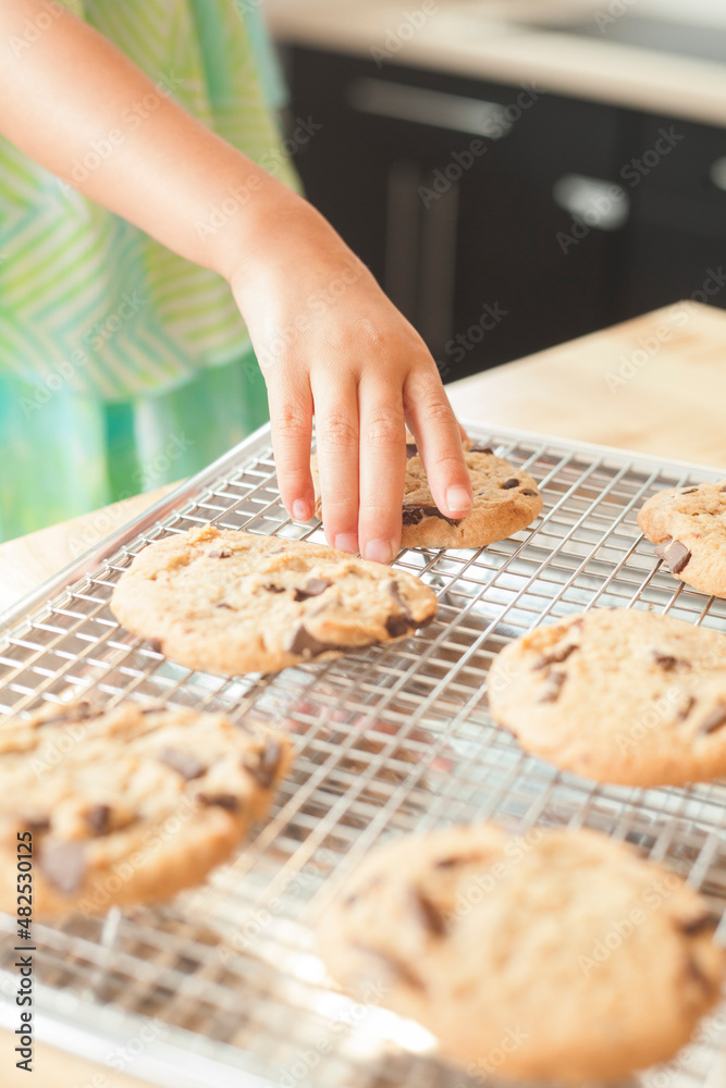 Child's hand picking up fresh baked chocolate chip cooking from cooling rack in kitchen Child's hand picking up fresh baked chocolate chip cooking from cooling rack in kitchen