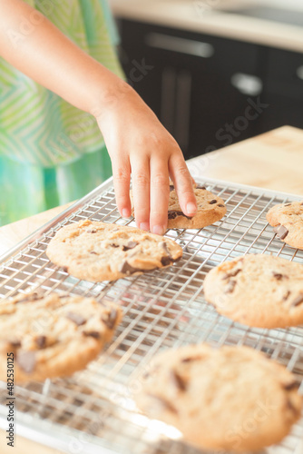Child's hand picking up fresh baked chocolate chip cooking from cooling rack in kitchen
