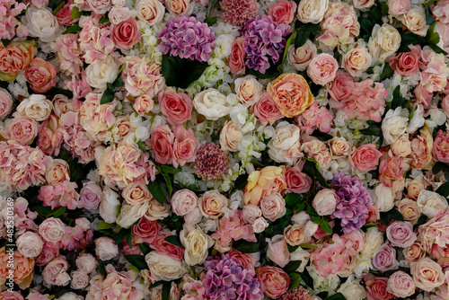 Fototapeta Naklejka Na Ścianę i Meble -  background of flowers