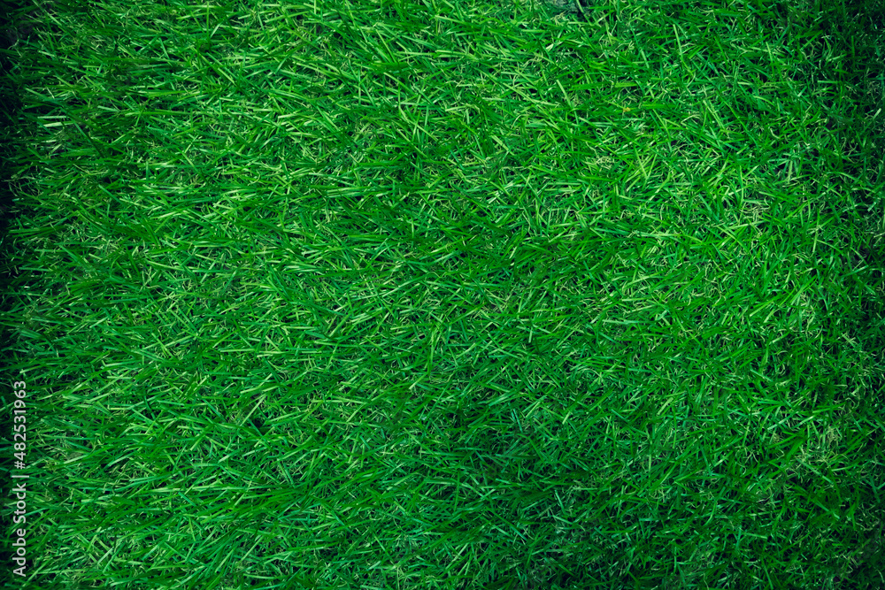 Green Grass Texture