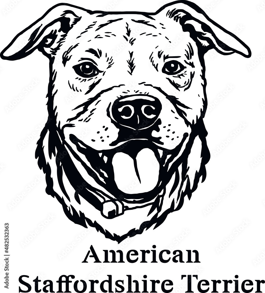 American Staffordshire Terrier - Funny Dog, Vector File, Cut Stencil for Tshirt