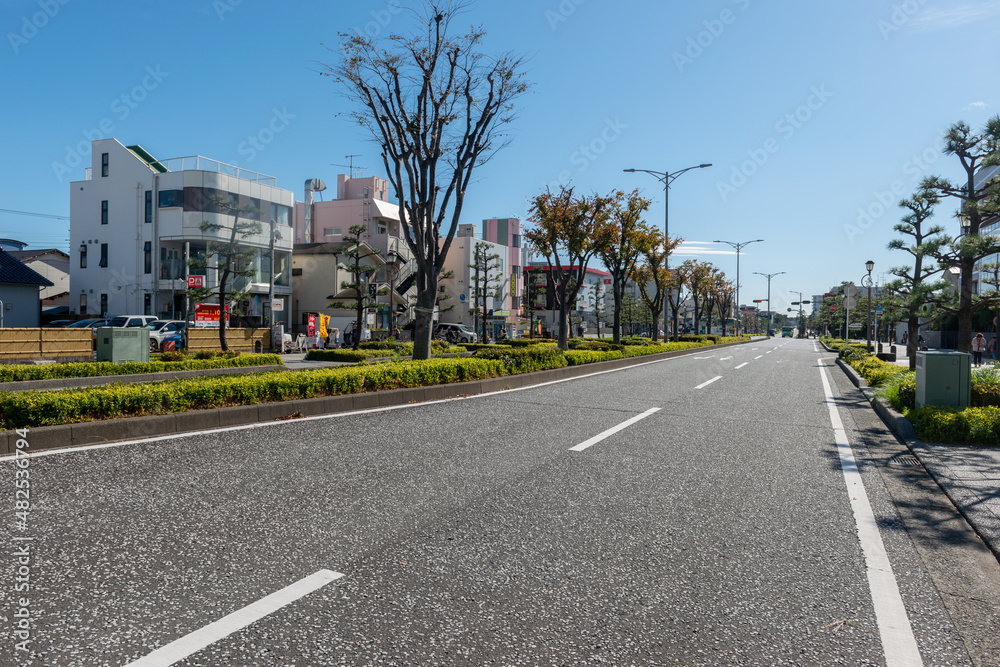 Obraz premium 大通り