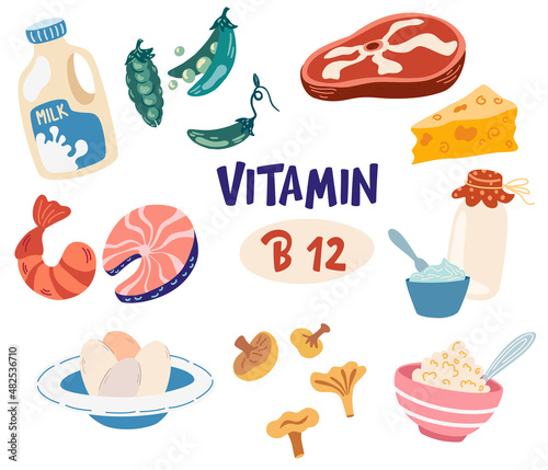 Vitamin B12 food products. Milk, yogurt, mushrooms, beef, seafood, beans and eggs. Dietary products, organic natural food. Vector cartoon illustration isolated on the white background.