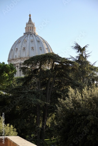 dome of st peter basilica city