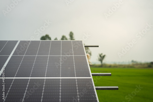 Solar cell panel with agriculture rice field and nature environment as blurred background. Clean energy with nature technology concept photo. Partial focus on the solar cell surface.
