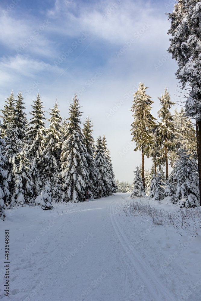 Obraz premium Eine weitere Winterwanderung entlang des Rennsteigs im schönsten Winterwunderland - Deutschland