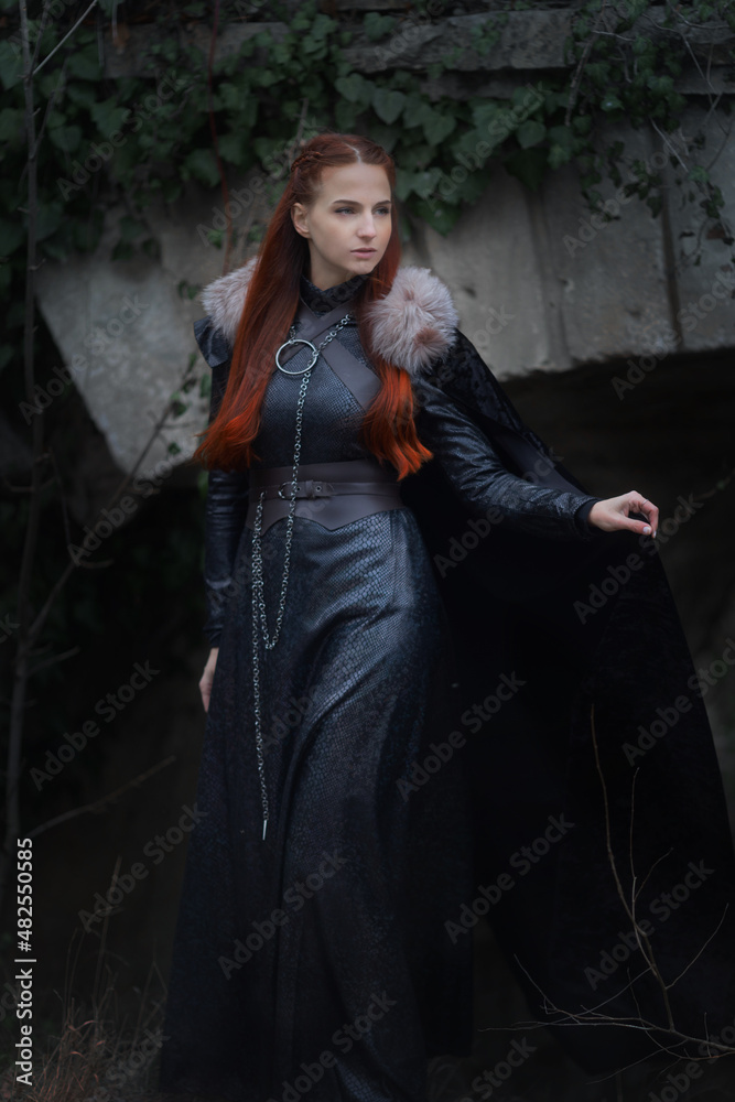 queen of the north.princess in the fantasy land of game of thrones queen of the north.princess in the fantasy land of game of thrones