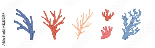 Sea and ocean corals set. Marine underwater plants. Tropical aquatic undersea branches. Exotic under water seaweeds, algae. Colored hand-drawn vector illustration isolated on white background