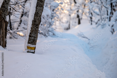 Fototapeta Naklejka Na Ścianę i Meble -  Hiking trail sign and deep snow in the mountains. The Bieszczady Mountains, Poland.