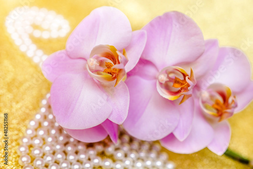 purple Orchid and pearl necklace on a shiny gold background 