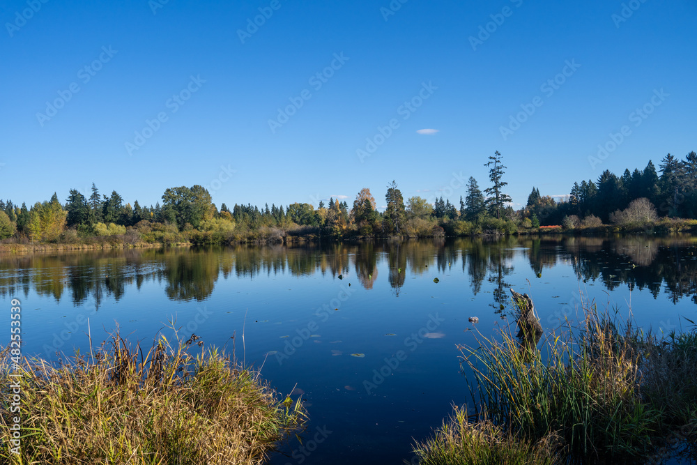 Fototapeta premium Larsen Lake Blueberry Farm