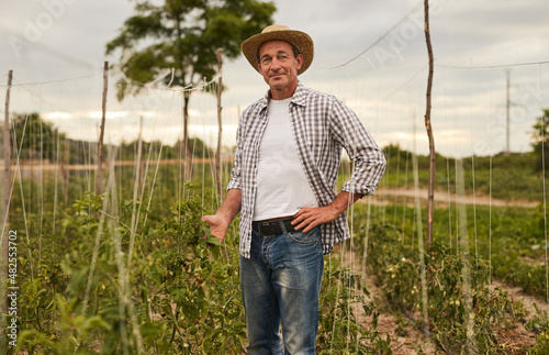 Mature male gardener on farm