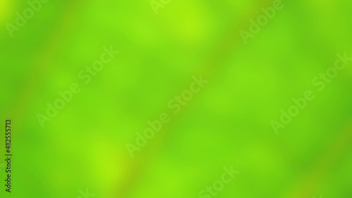 Green simple gradient background. Blured background illustration with space for your text or images 