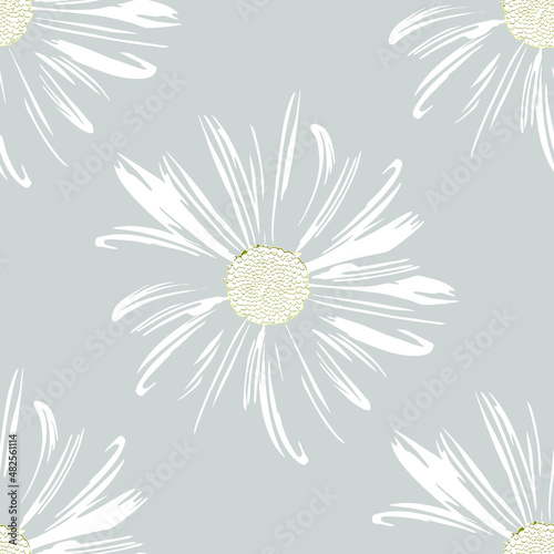 Chamomile flowers. White Daisy petals, flower arrangement on grey background, seamless texture, vector illustration