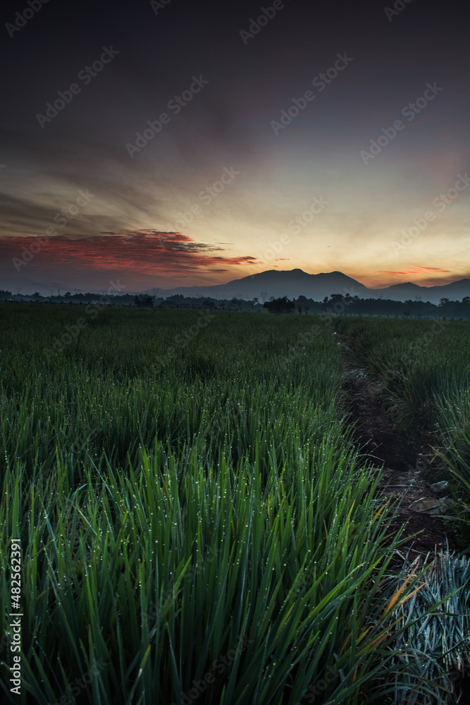 sunset over the mountains