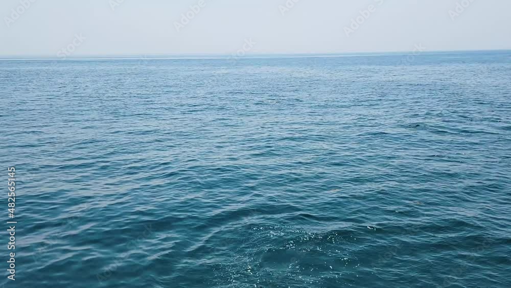 Cruising Across The Ocean With Pod Of Atlantic White-sided Dolphins Arching. Dolphin Watching. wide Cruising Across The Ocean With Pod Of Atlantic White-sided Dolphins Arching. Dolphin Watching. wide