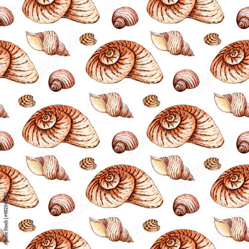 Watercolor illustration of a pattern of seamless seashells in beige tones. Endlessly repeating marine background. Scallops, clams and spirals. Isolated on white background. Drawn by hand.