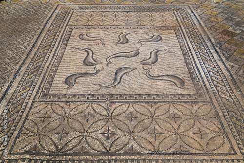 Ruins of the ancient Volubilis