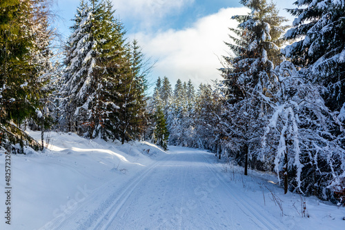 Eine weitere Winterwanderung entlang des Rennsteigs im schönsten Winterwunderland - Deutschland
