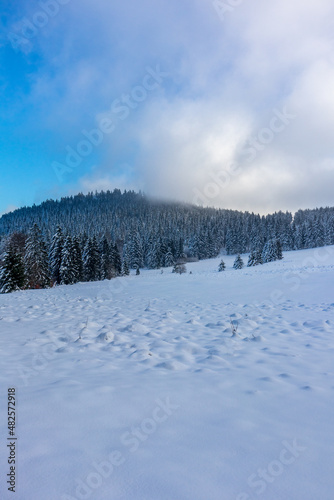 Eine weitere Winterwanderung entlang des Rennsteigs im schönsten Winterwunderland - Deutschland