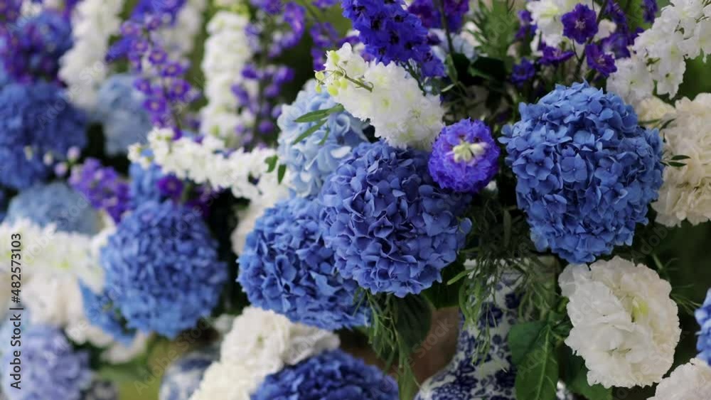 a large number of hydrangea flowers in the garden. Beautiful flowers are used as decor at the event. close-up
