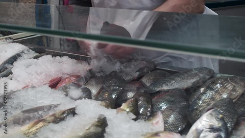 Fresh fish in ice on the counter of the Jerusalem Mahane Yehuda market. photo