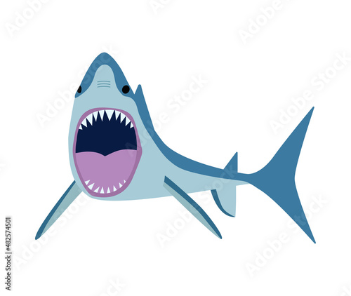 Shark Flat Illustration