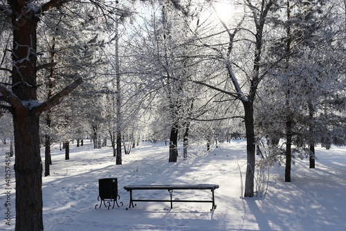 bench in the snow