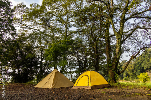 森でキャンプ　Camping in the early forest  © norikko