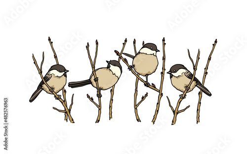 Vector horizontal seamless pattern with hand drawn Willow Tits sitting on tree branches. Ink drawing, beautiful animal design elements. Perfect for prints and patterns