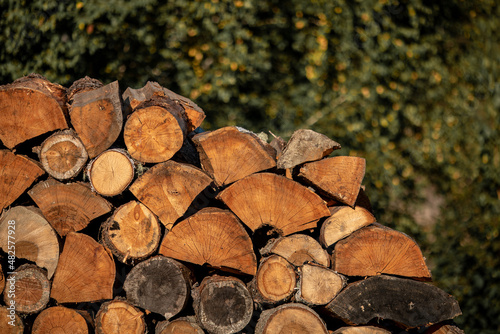 Close up lined logs in a row. Wood for processing. Against the backdrop of greenery