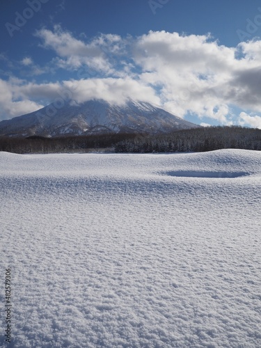 冬の羊蹄山と雪原
